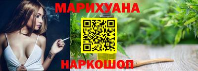 МДПВ Новозыбков