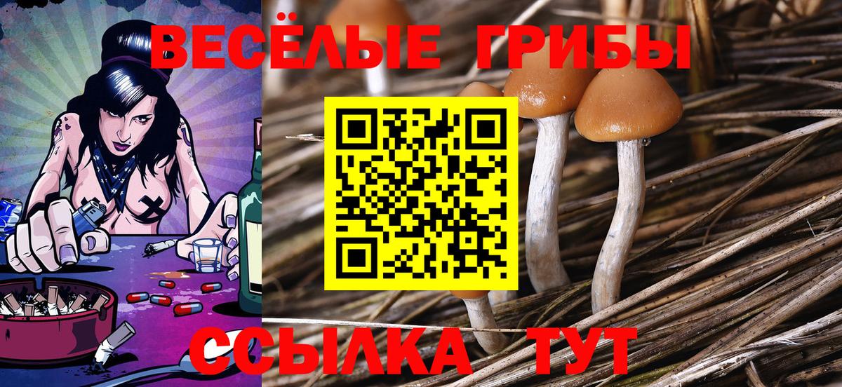 Псилоцибиновые грибы Psilocybe  Вход с VPN  Галлюциногенные грибы мицелий  Тамбов 