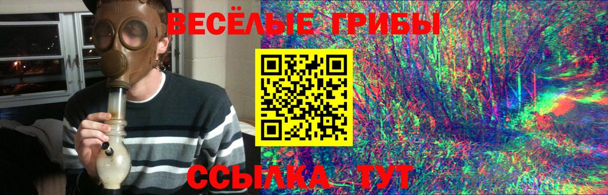 Галлюциногенные грибы MAGIC MUSHROOMS Тамбов